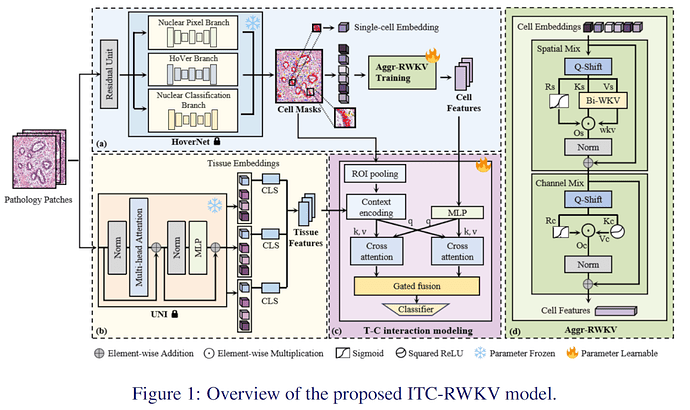 20251010-img-paper-06-ITC-RWKV