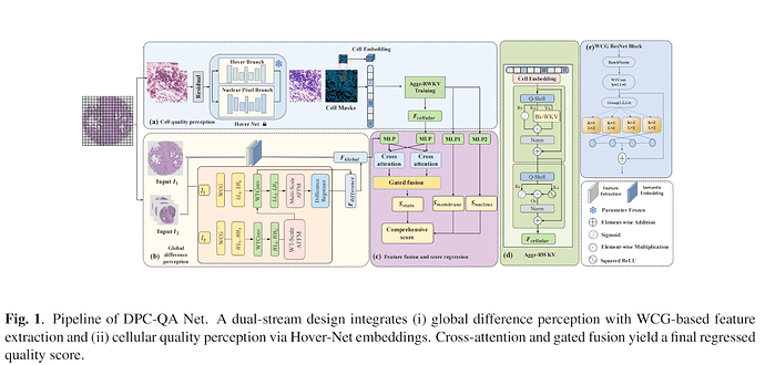 20251010-img-paper-14-DPC-QA Net